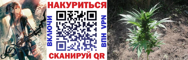 kraken зеркало  Озёрск  Каннабис тримм 